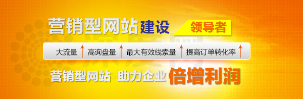 真正的營(yíng)銷型網(wǎng)站能夠助力您的企業(yè)利潤(rùn)倍增